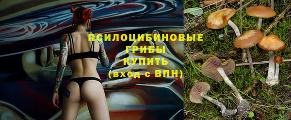 кокаин Горнозаводск