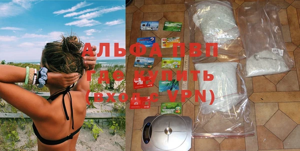spice Горняк