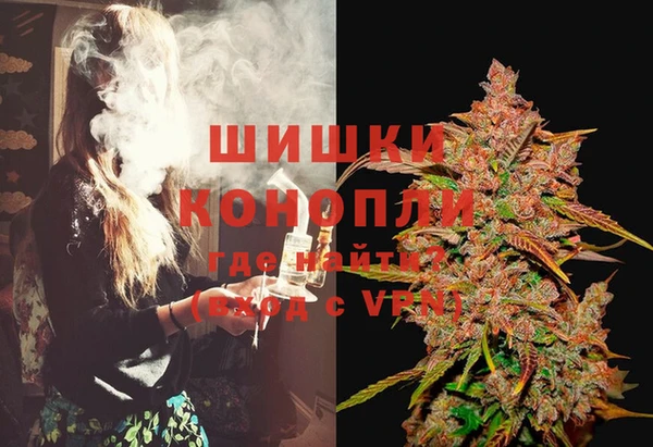 хмурый Снежногорск