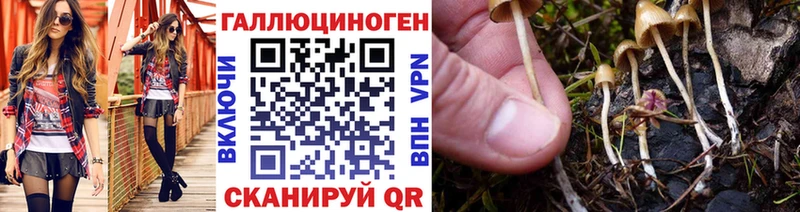 где можно купить   гидра ссылка  Псилоцибиновые грибы Cubensis  Нефтекамск 
